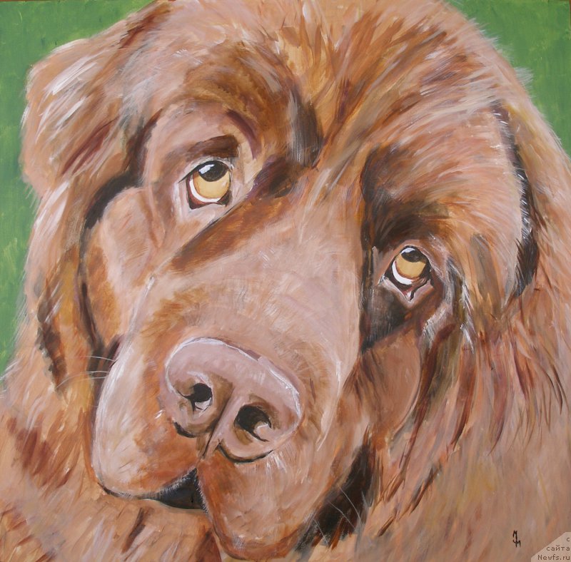 Фотография № 167904