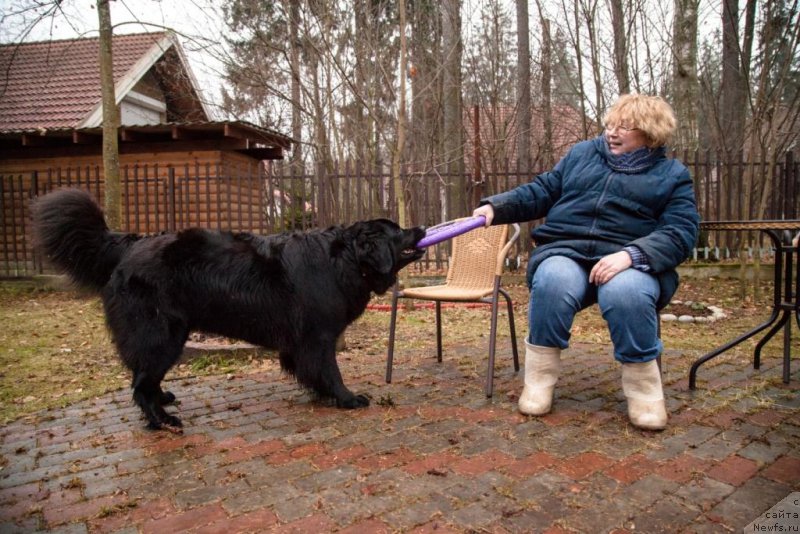 Фотография № 167905