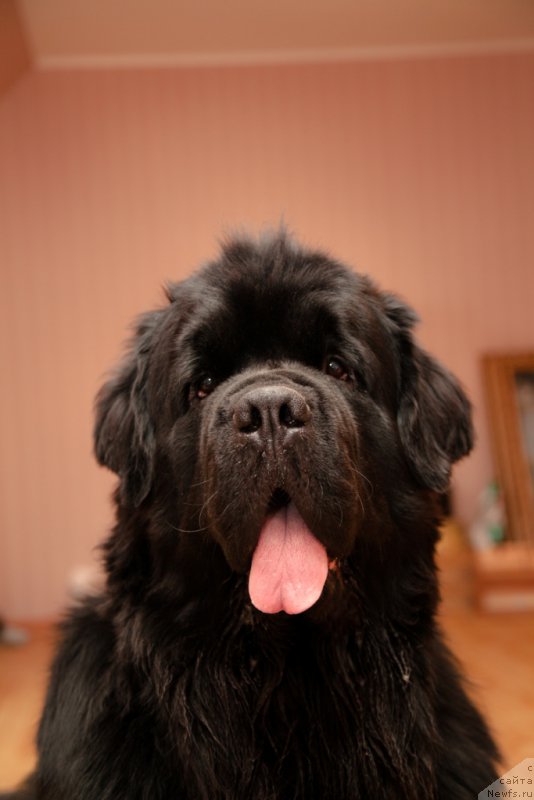 Фотография № 167907