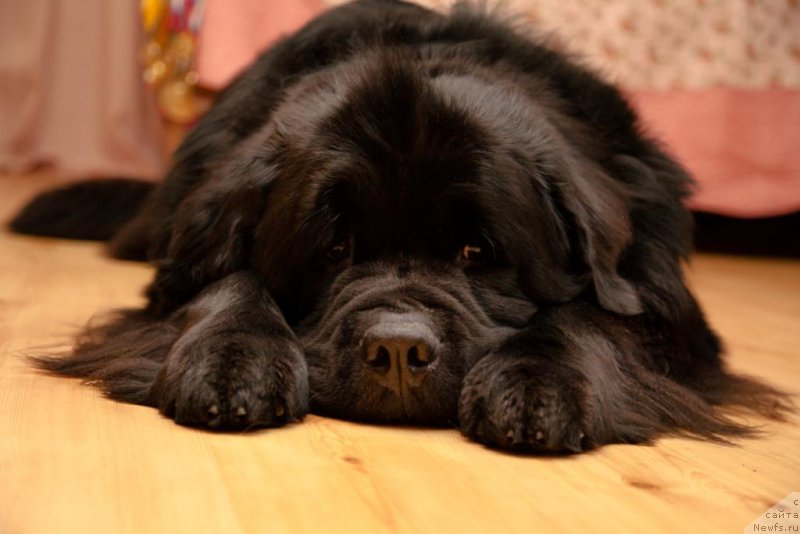 Фотография № 167908