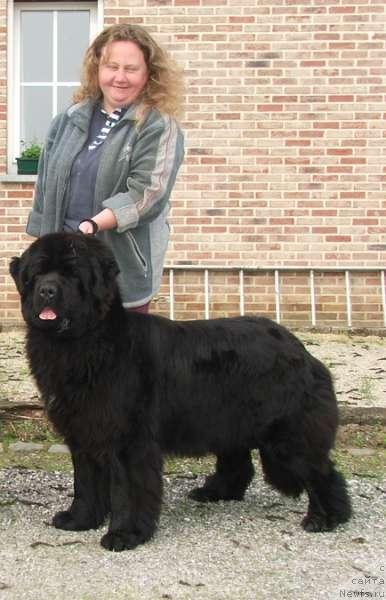 Фотография № 168