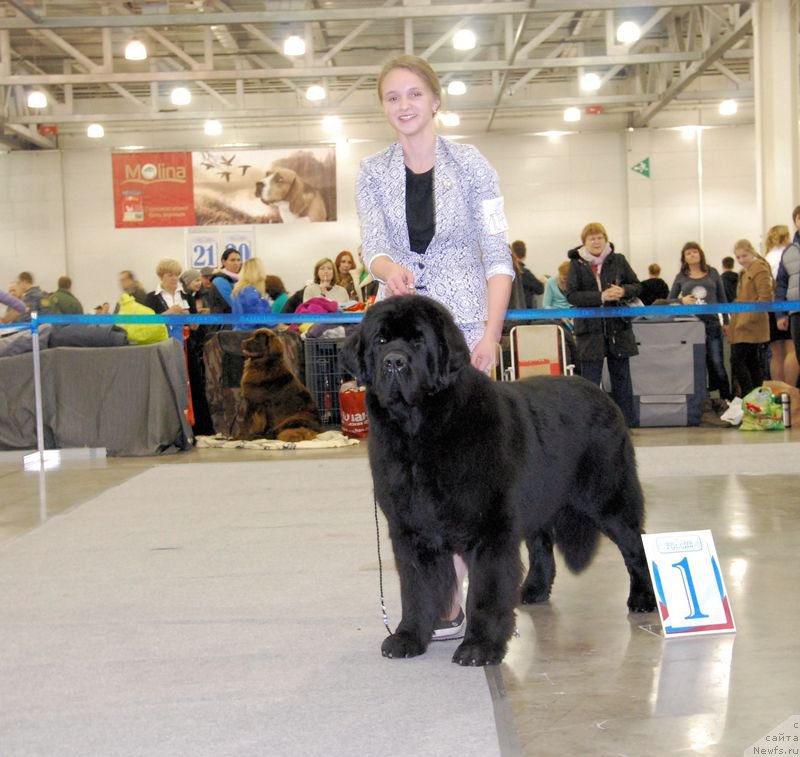 Фотография № 168020