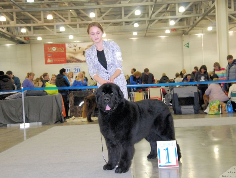 Фотография № 168022