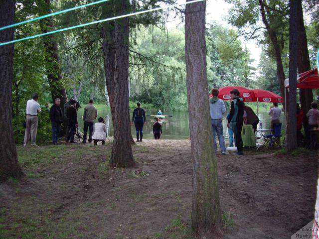 Фотография № 16803