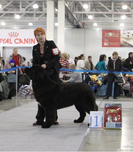 Фотография № 168038