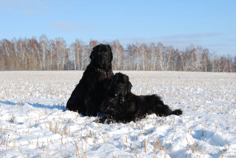 Фотография № 168042