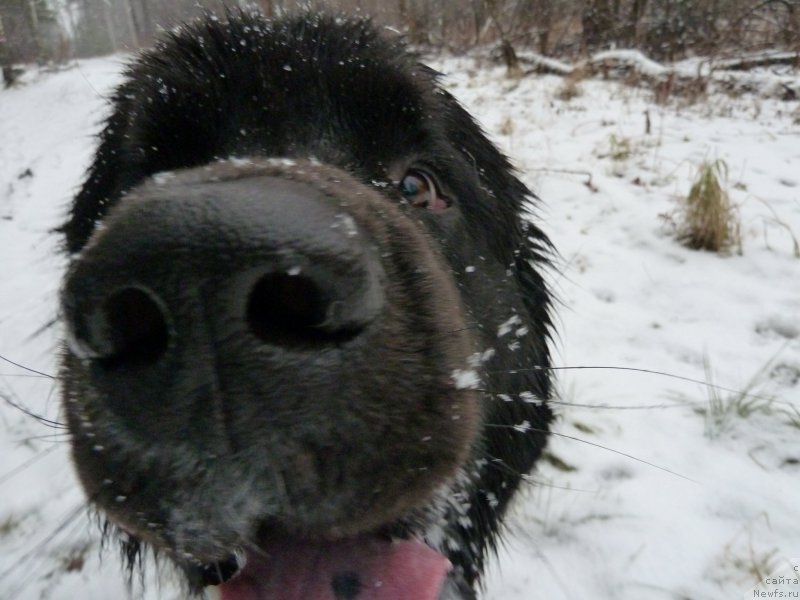 Фотография № 168060