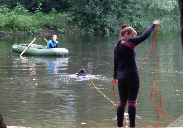 Фотография № 16807