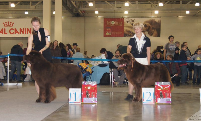 Фотография № 168074