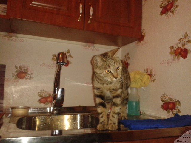 Фотография № 168080