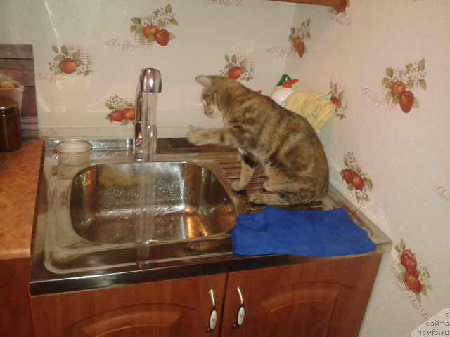 Фотография № 168081