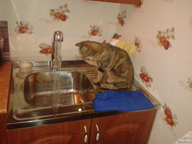 Фотография № 168082