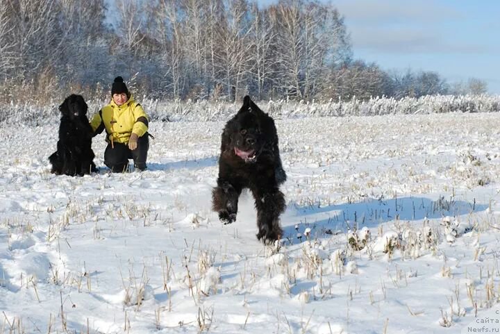 Фотография № 168086