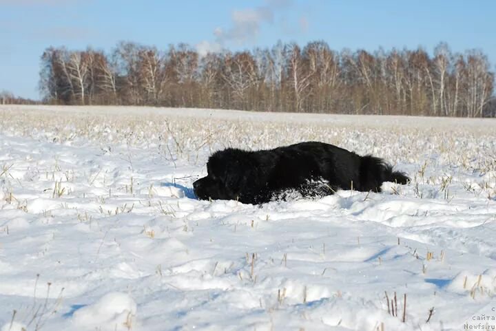 Фотография № 168088