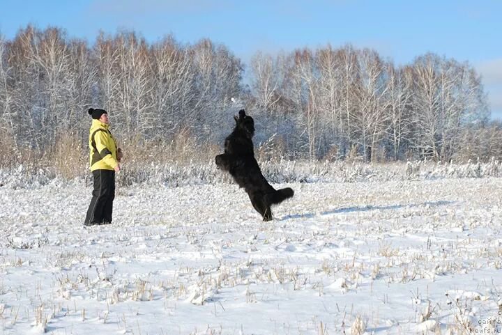 Фотография № 168089