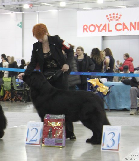 Фотография № 168091