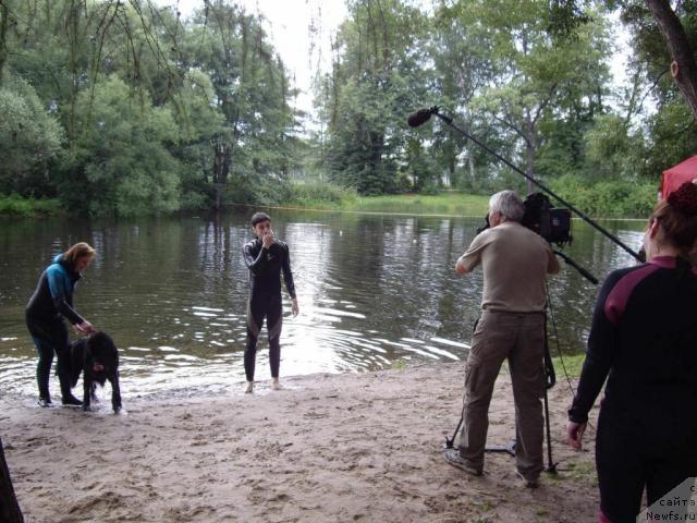 Фотография № 16810