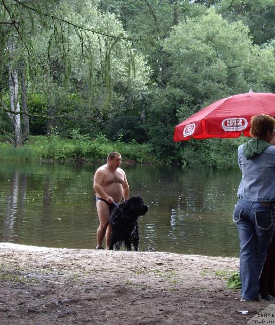 Фотография № 16811