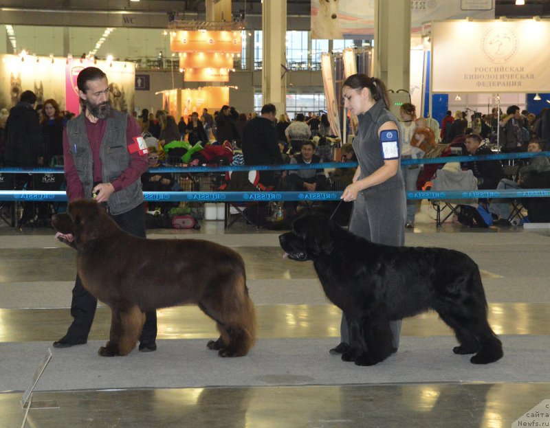 Фотография № 168111