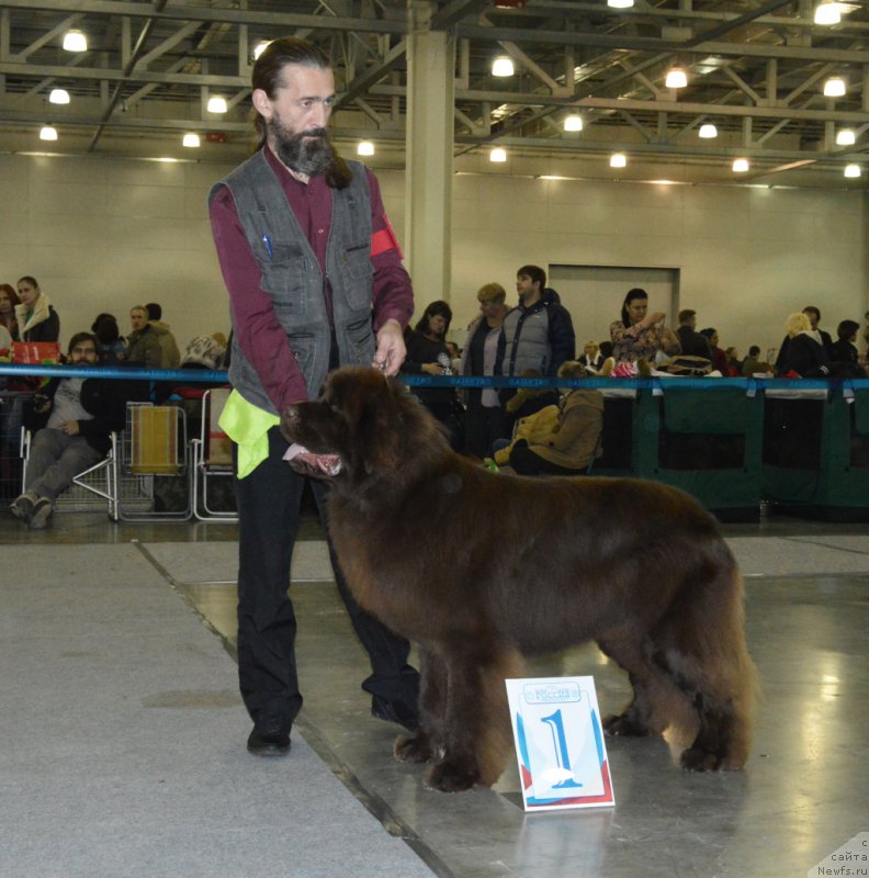 Фотография № 168113