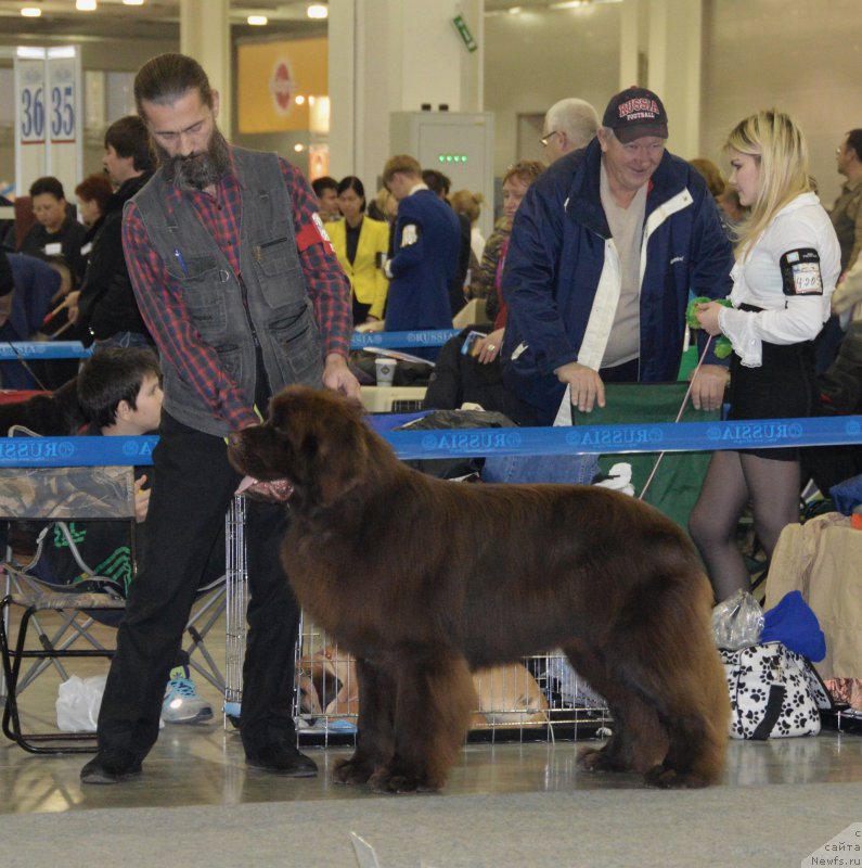 Фотография № 168115