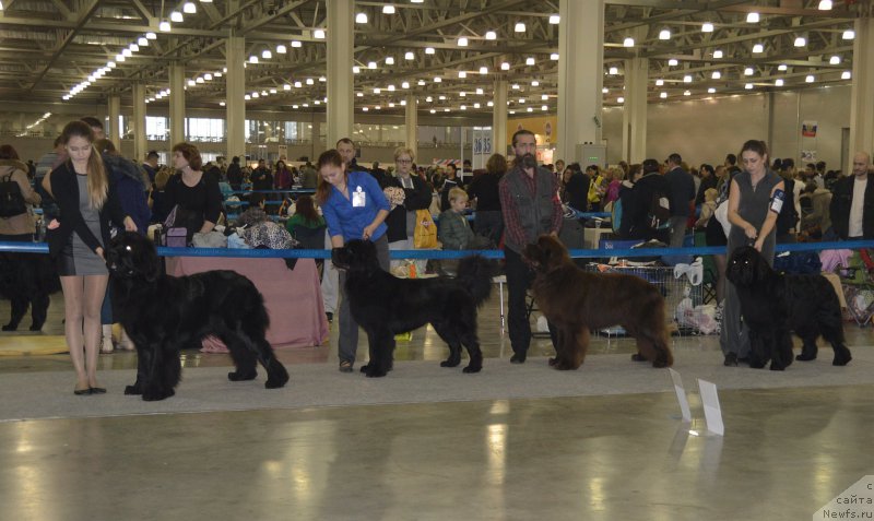 Фотография № 168116