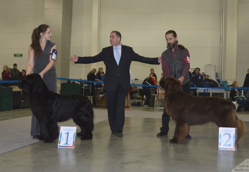 Фотография № 168117