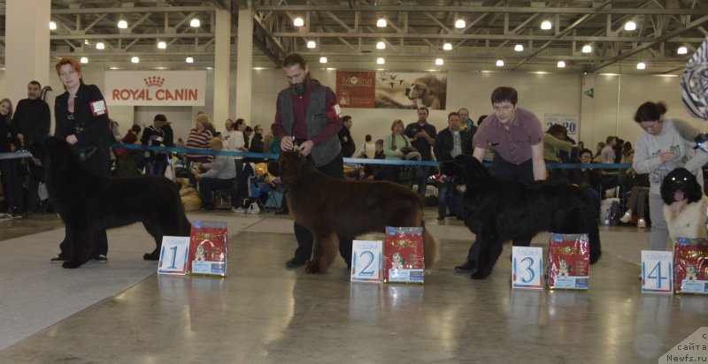 Фотография № 168118