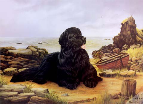 Фотография № 168119