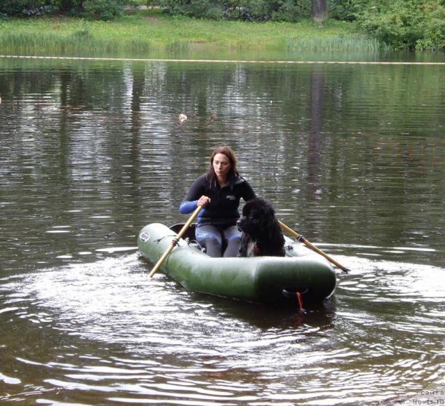 Фото: Ксения Семикова, ньюфаундленд Bella Smigar
