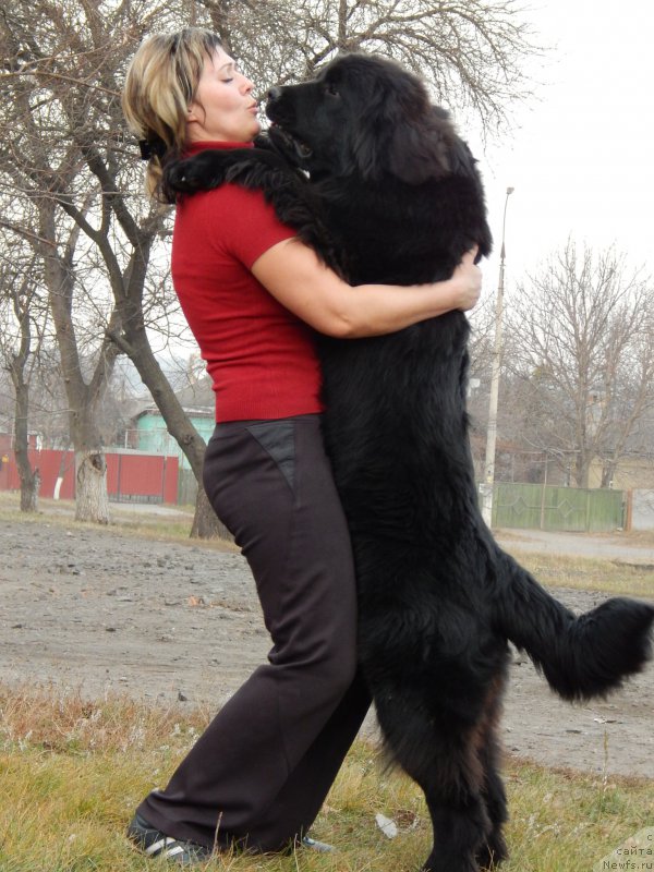 Фотография № 168148