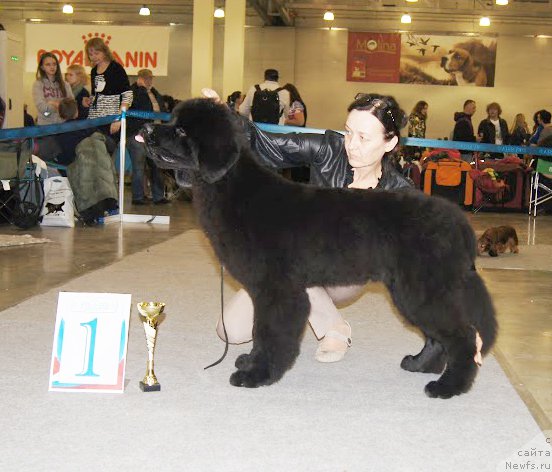 Фотография № 168166