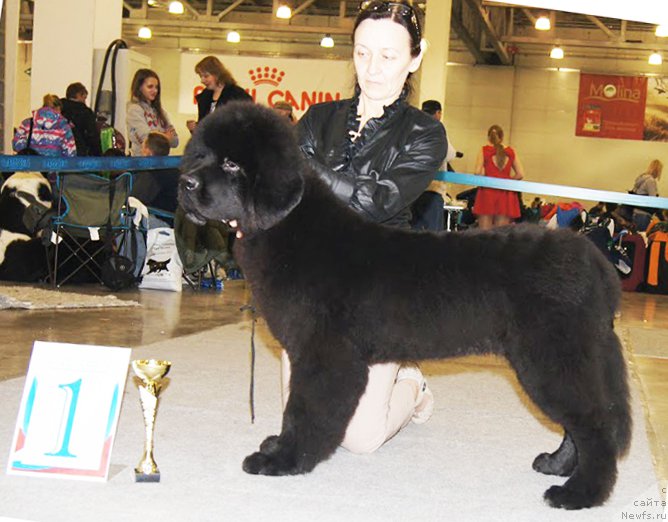 Фотография № 168170