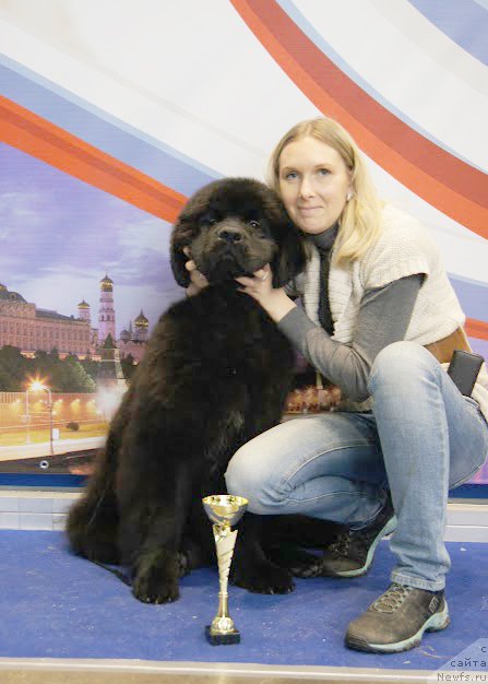 Фотография № 168172