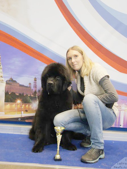 Фотография № 168173