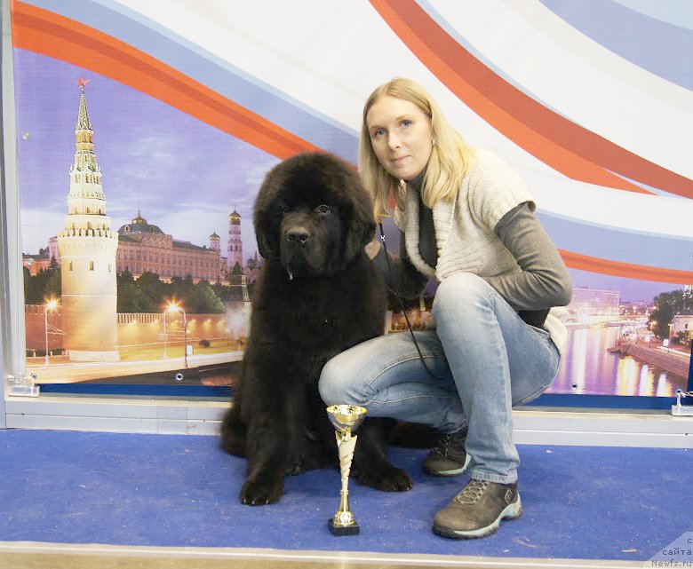 Фотография № 168175