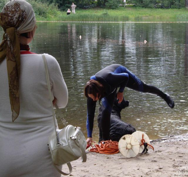 Фотография № 16818