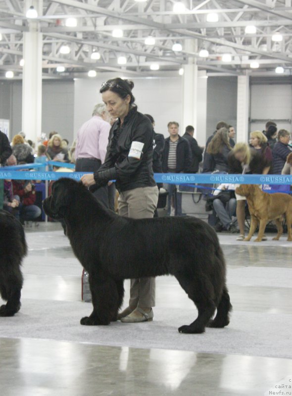 Фотография № 168189