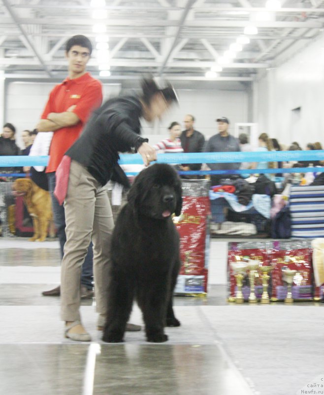 Фотография № 168190