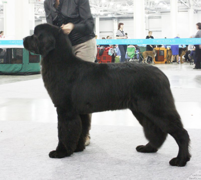 Фотография № 168193