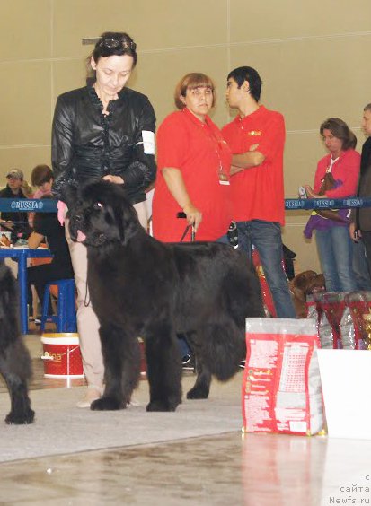 Фотография № 168194