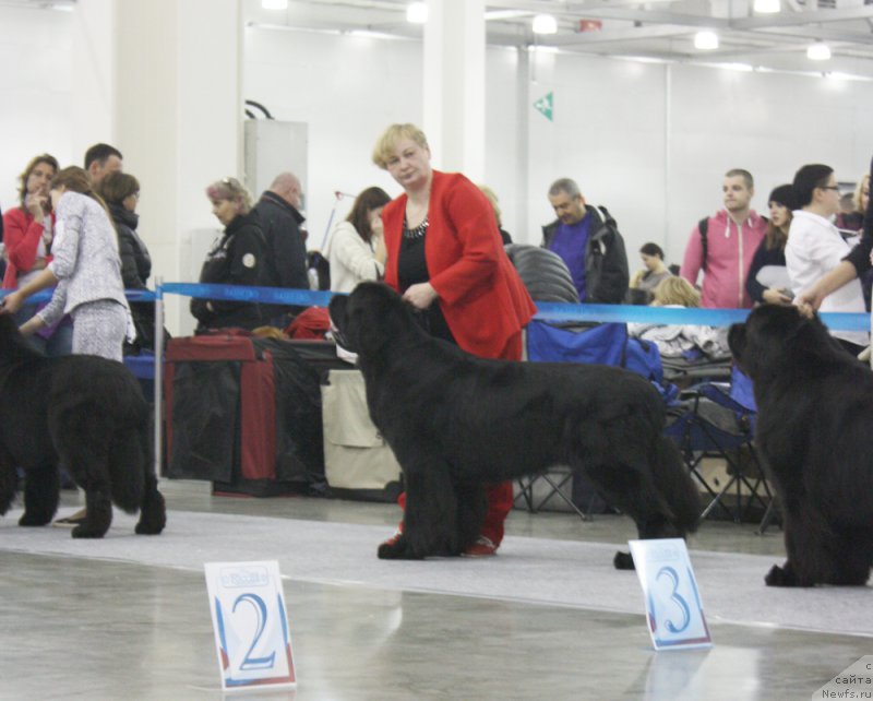 Фотография № 168195