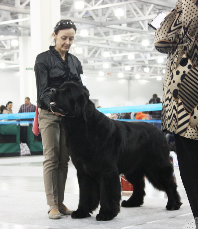 Фотография № 168196