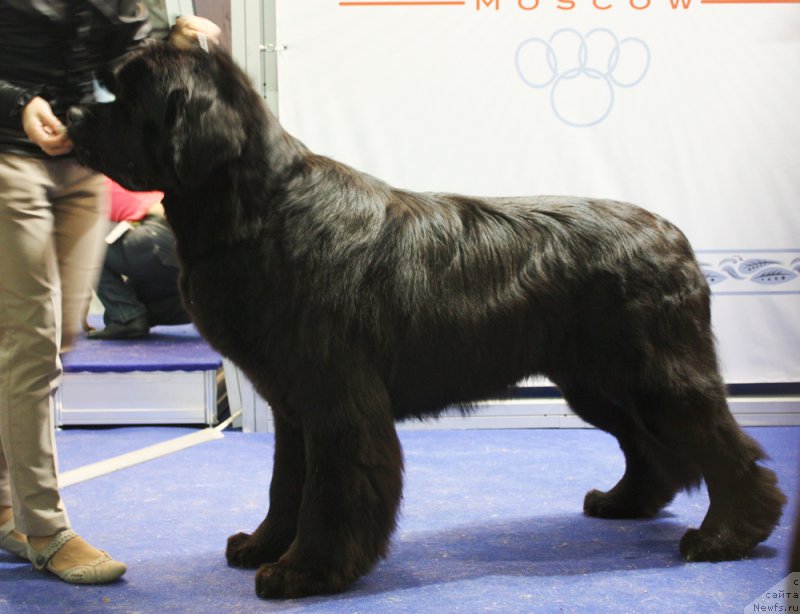 Фотография № 168197