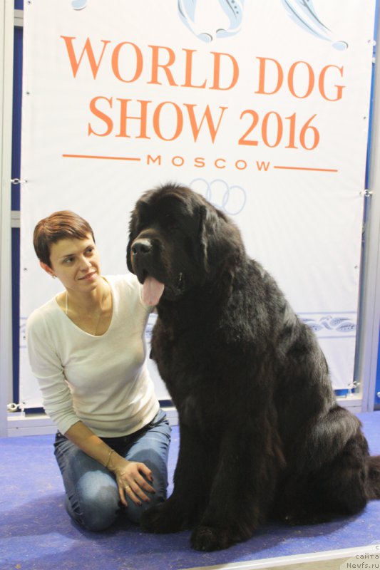 Фотография № 168199