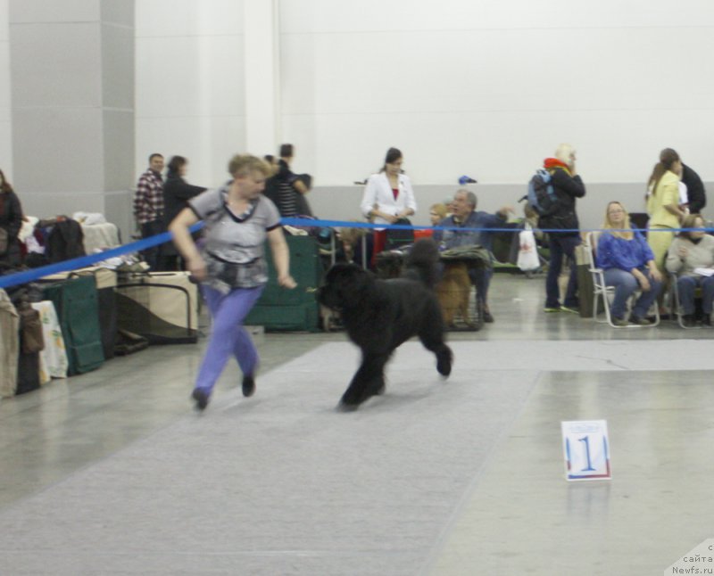 Фотография № 168200