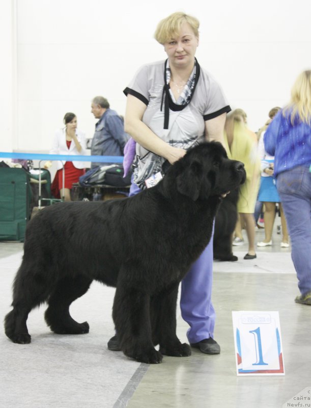 Фотография № 168201