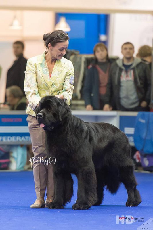 Фотография № 168203