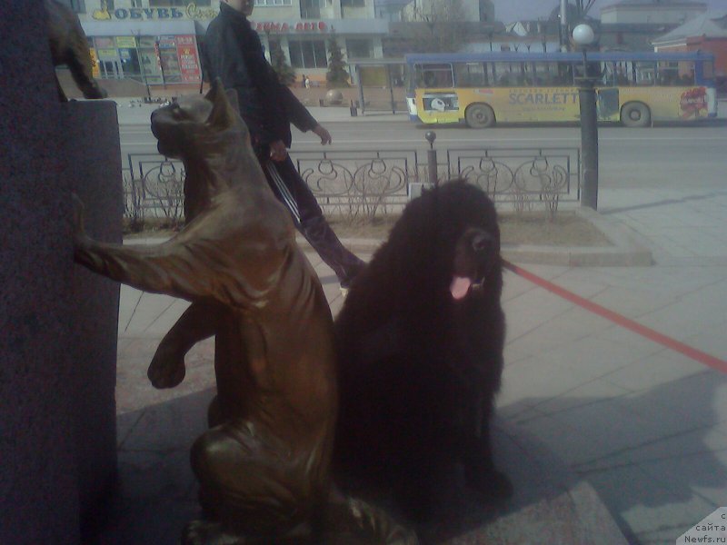 Фотография № 168206