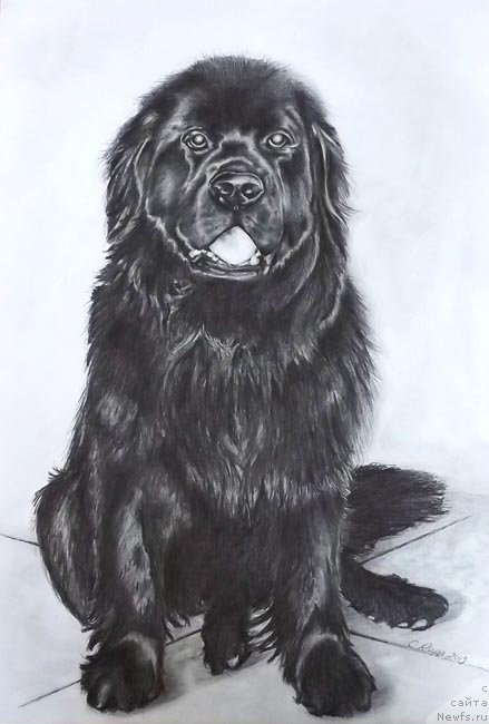 Фотография № 168220